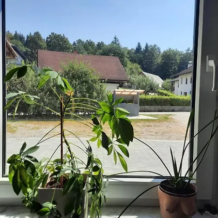 Happy Place * Ig